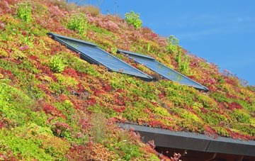 Finney Green living roof systems